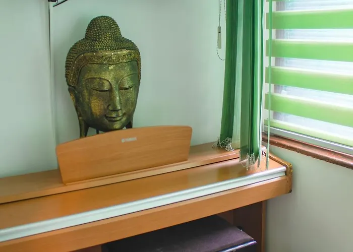 Pink Hudini * Sarajevo